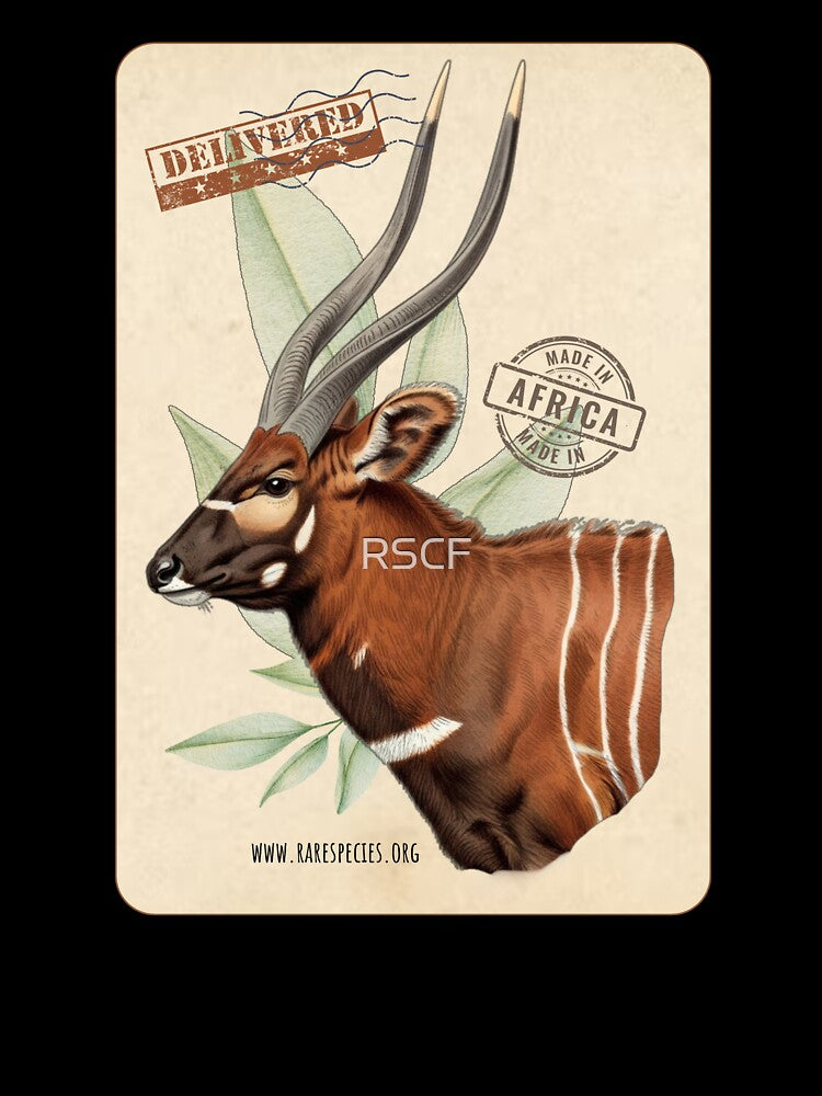 Vintage Mountain Bongo by RSCF by RSCF