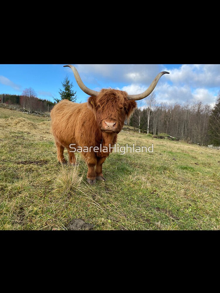 Scottish Highland Cattle Cow 3032 by SaarelaHighland