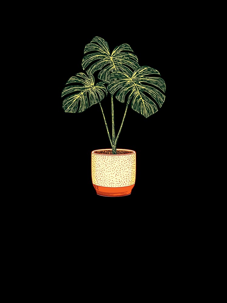 Monstera Plant – Tropical Houseplant Illustration by CleanLineStudio