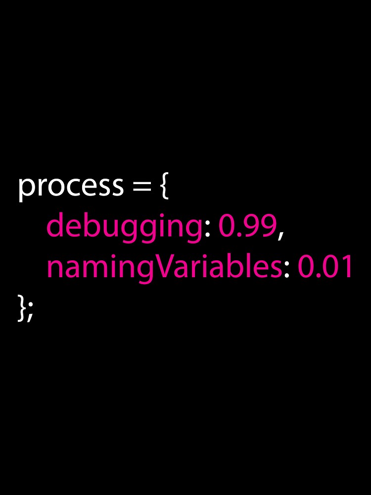 Coding Debugging Process Humour Design for Programmers by Geeky Giggles