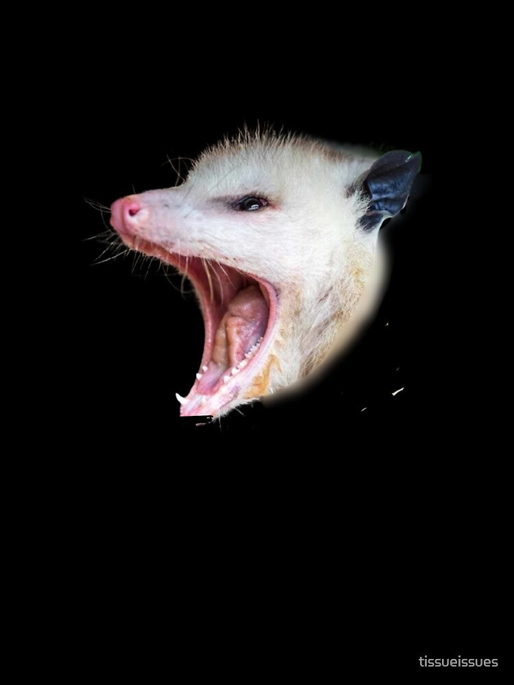 Opossum Live Fast Eat Trash by tissueissues