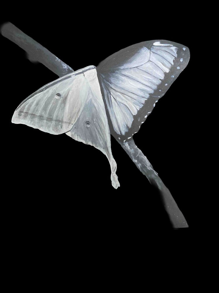 Moth X Butterfly by PIPPIN’S PRINTS