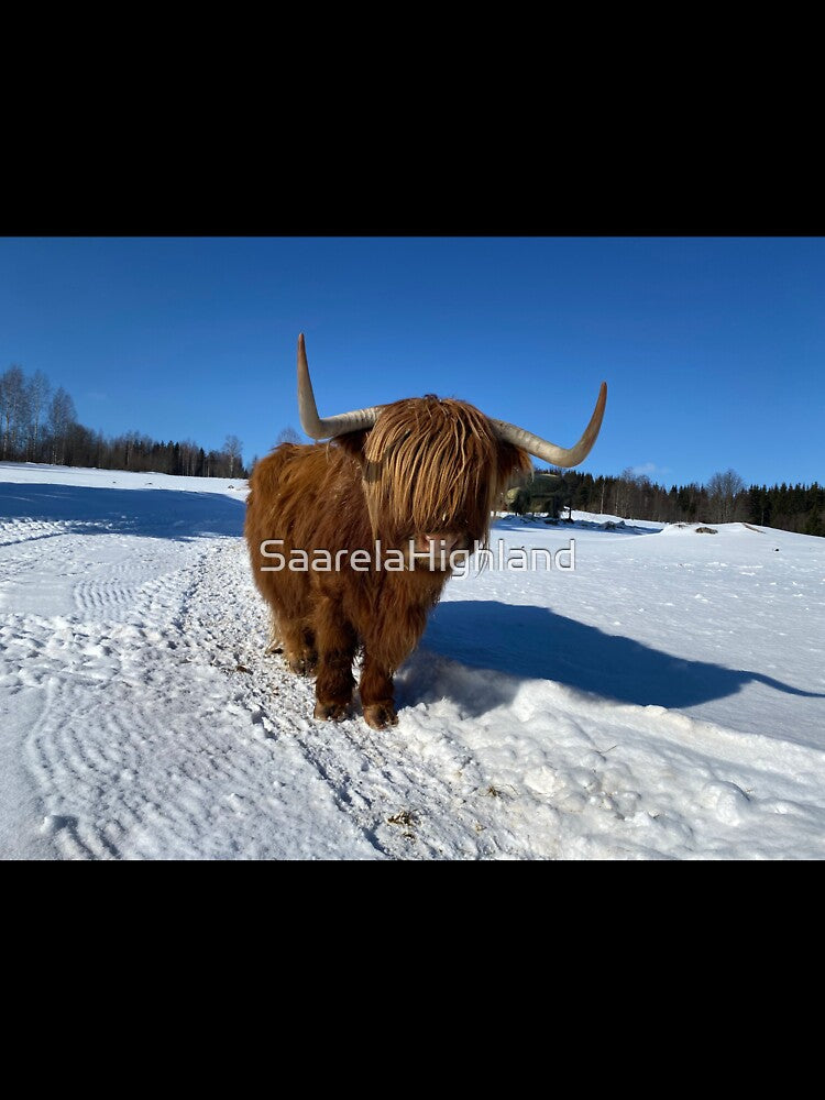 Scottish Highland Cattle Cow 3268 by SaarelaHighland
