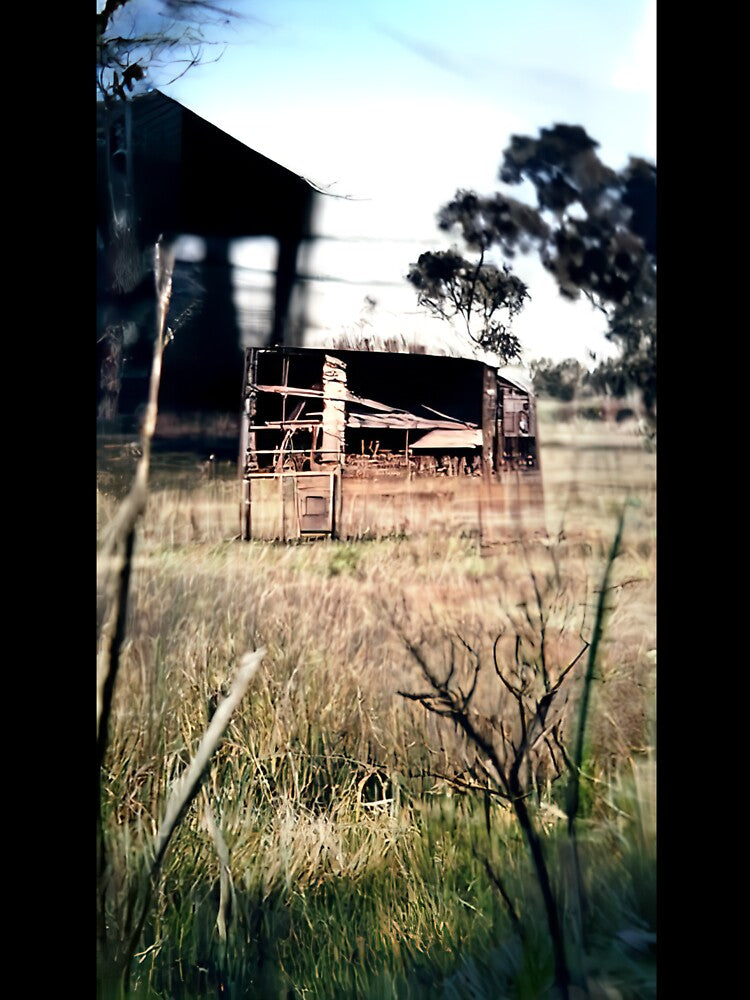 A disused shed in a paddock by kiertwice