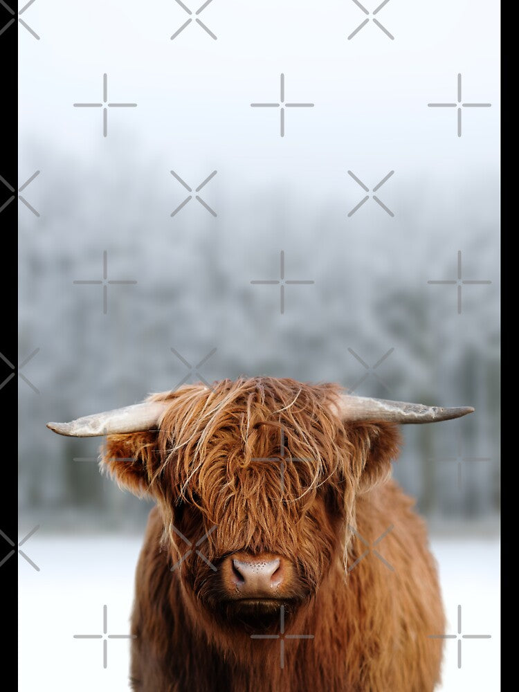 Scottish Highland Cow In Snow by Craft DartCO