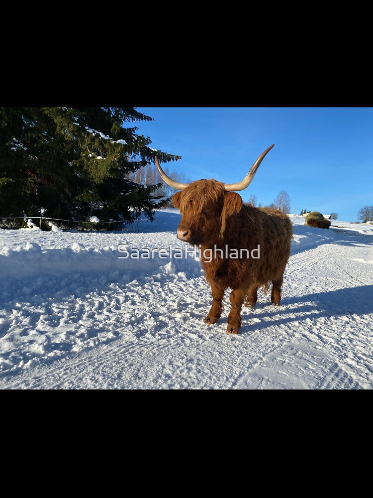 Scottish Highland Cattle Cow 3229 by SaarelaHighland