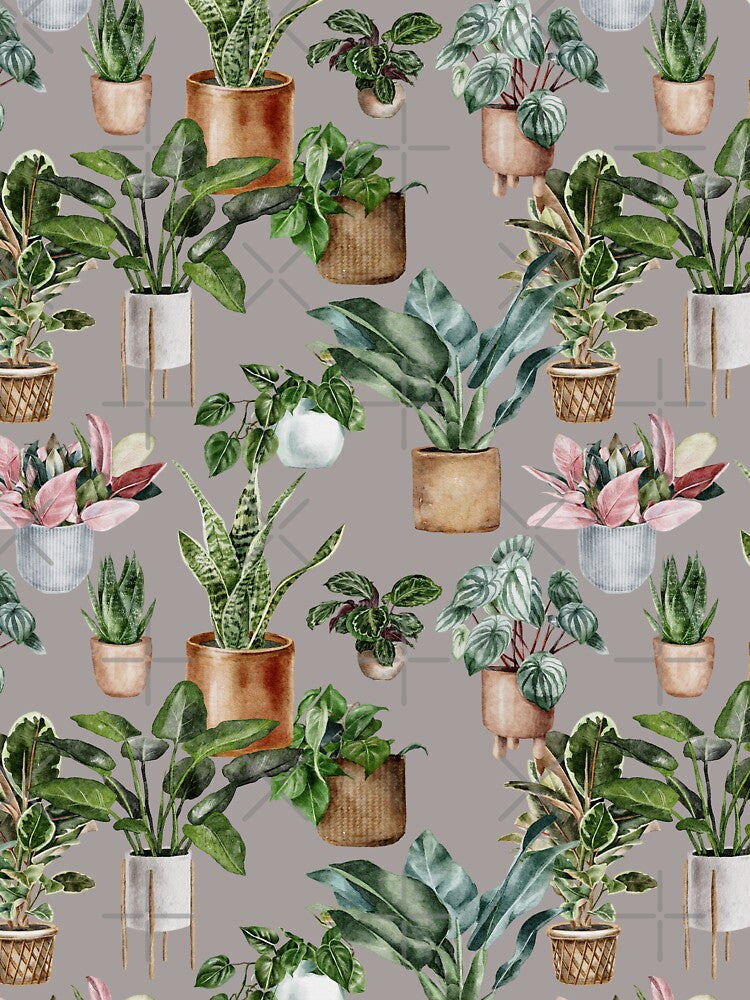 ZZ Plant Vine Plant  Snake Plant Pink Princess Robber Plant Prayer Plant Houseplant Love Nature Light Pattern by travellb