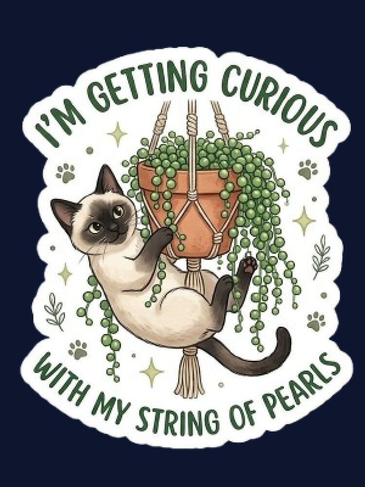 Siamese Cat String of Pearls - Rare Plant Lover Sticker by Barkashow