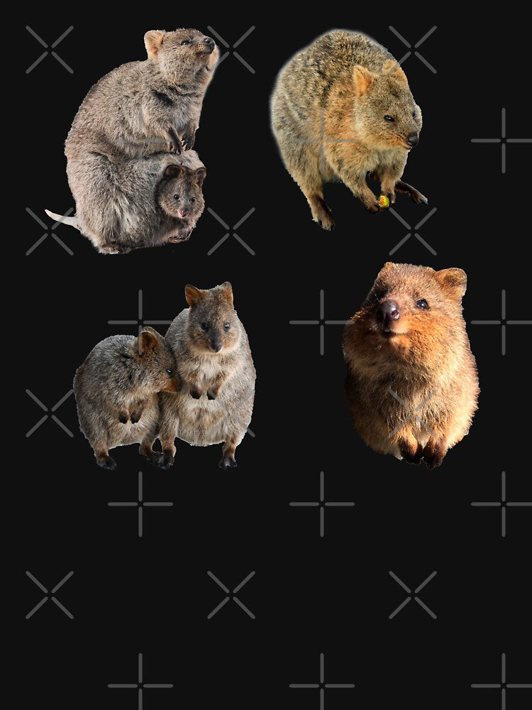 Cute Quokka Sticker Pack by InvestingRoad