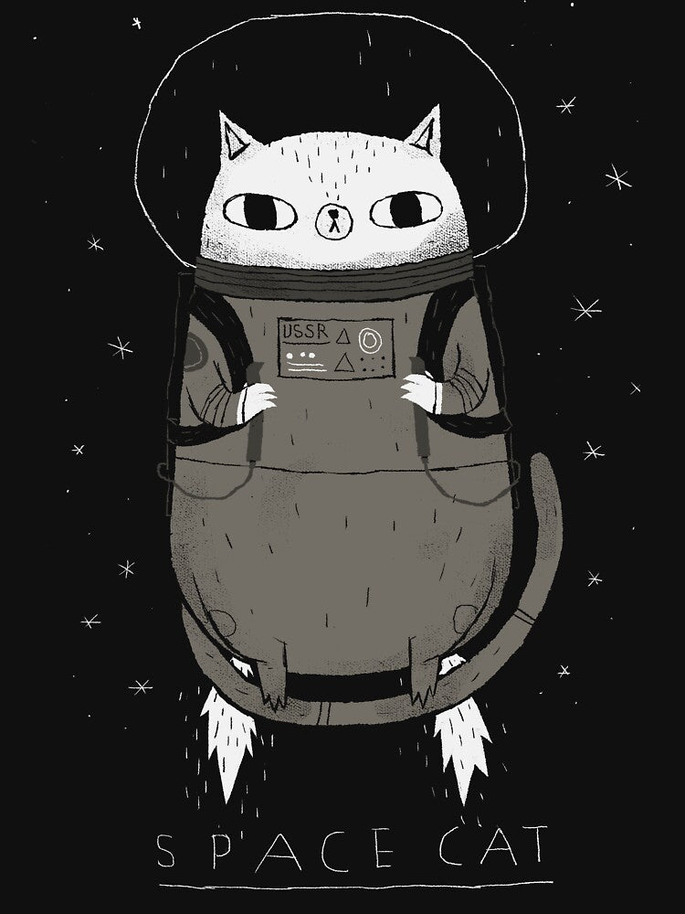 space cat by louros