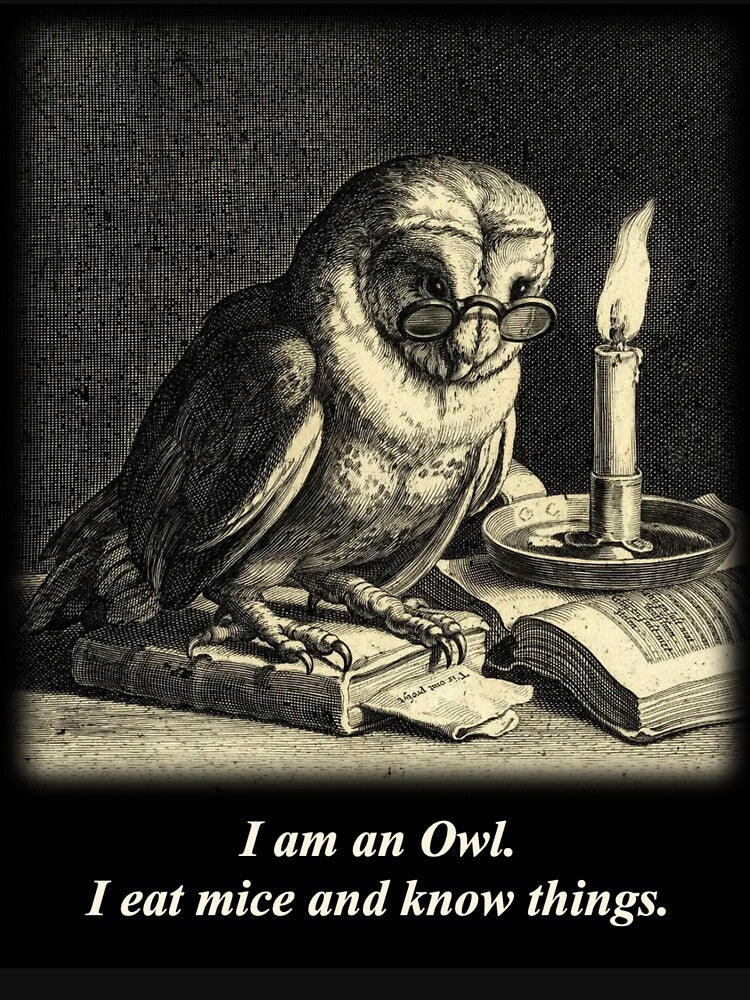 I Am An Owl by Cyrus Moth
