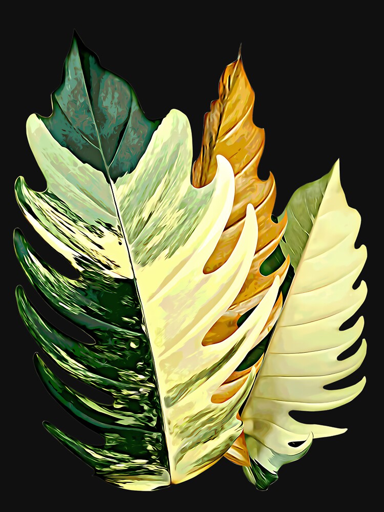 Philodendron Caramel Marble by afypgzcstc8