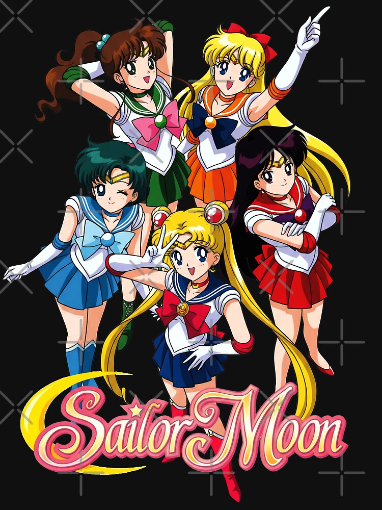 Sailor Moon and Guardians Anime Group Art by bakercolli
