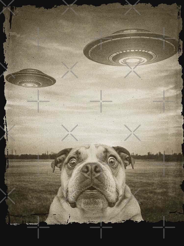 Bulldog Dog Selfie Old Phone Photo Funny UFO Sighting by d247