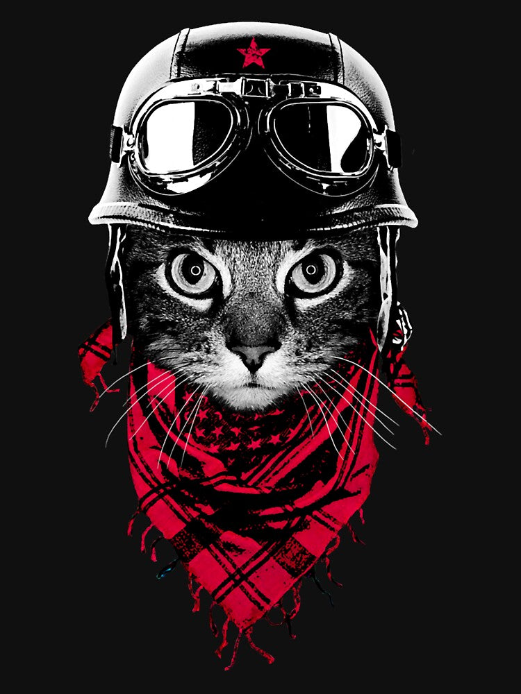 Adventurer Cat by EnricoOkuneva