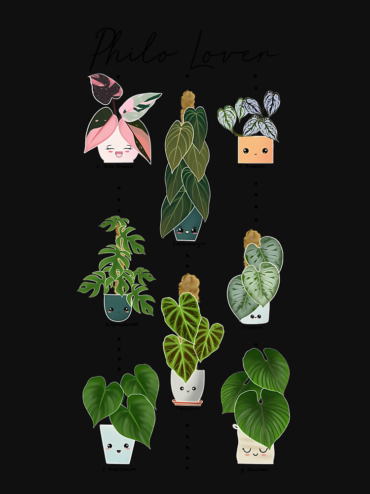 Philodendron Lover Plants by iucrvgboh85