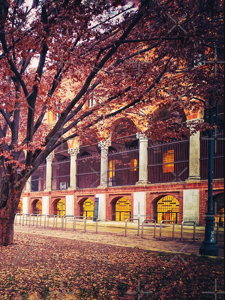 Autumn Leaves Trees Nature City Architecture Italy by eleonoraingrid
