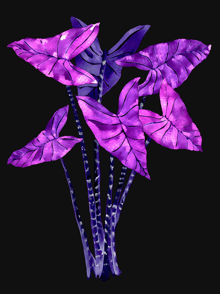 Alocasia Zebrina Purple by lqycnvzxyg3