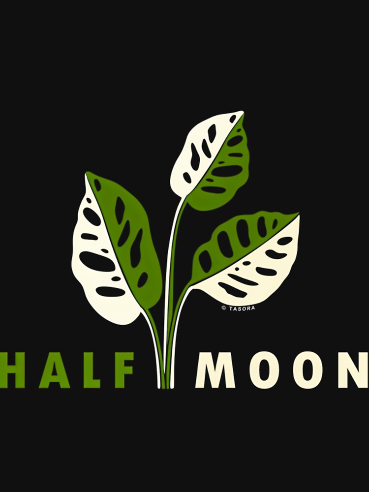 Variegated Monstera Adansonii Half Moon by iucrvgboh85