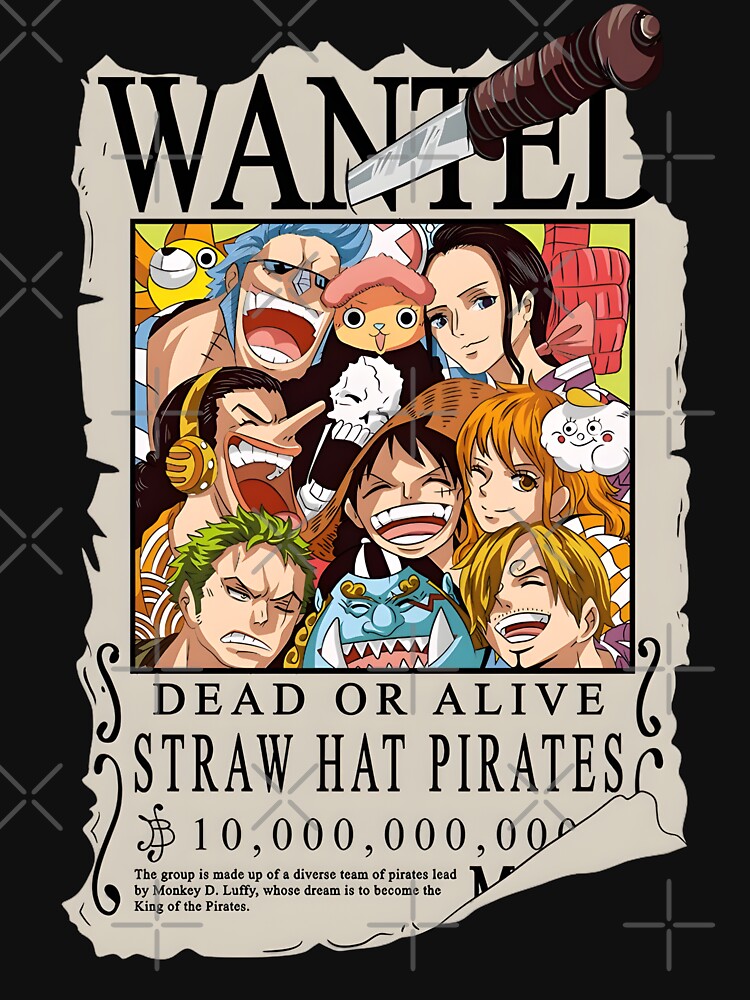 Straw Hat Pirates by ANIME HEAT