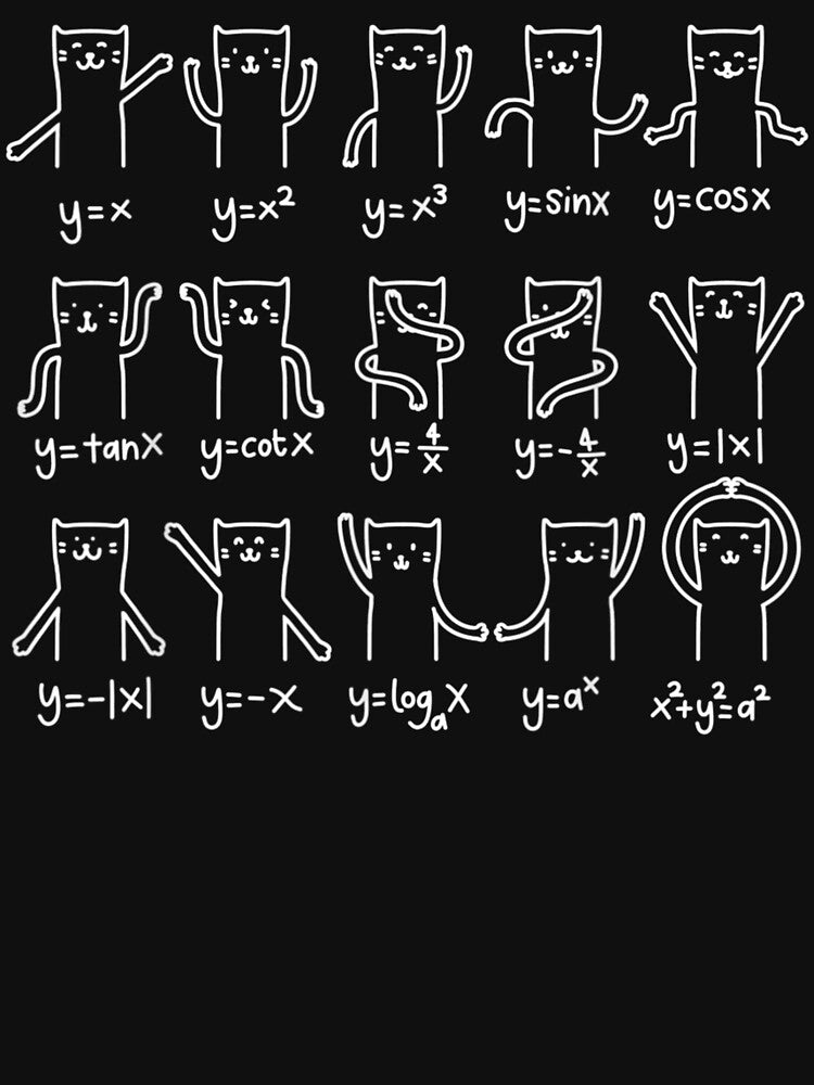 Funny Cat And Math, Cat And Algebra Lover by Rosartistshop