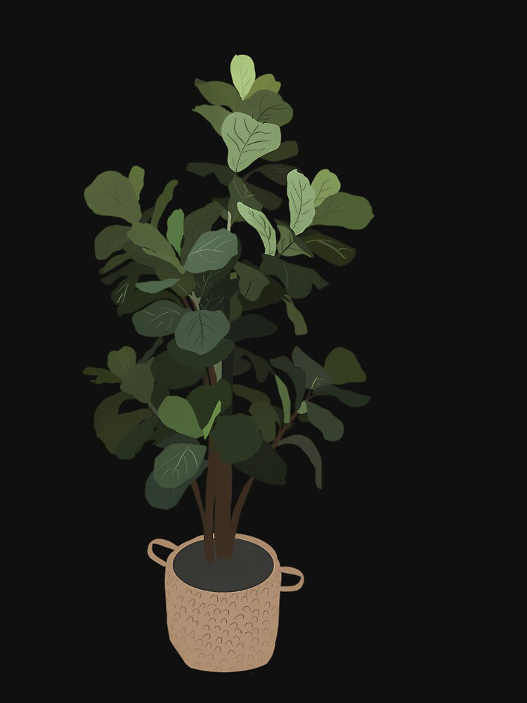 Fiddle Leaf Fig Plant Illustration by crcdhmdefr20