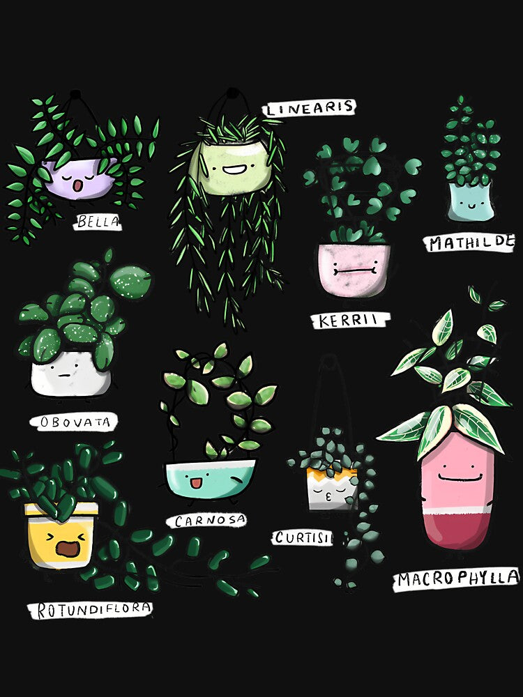 Hoya Family Houseplants by vzqygphgru86
