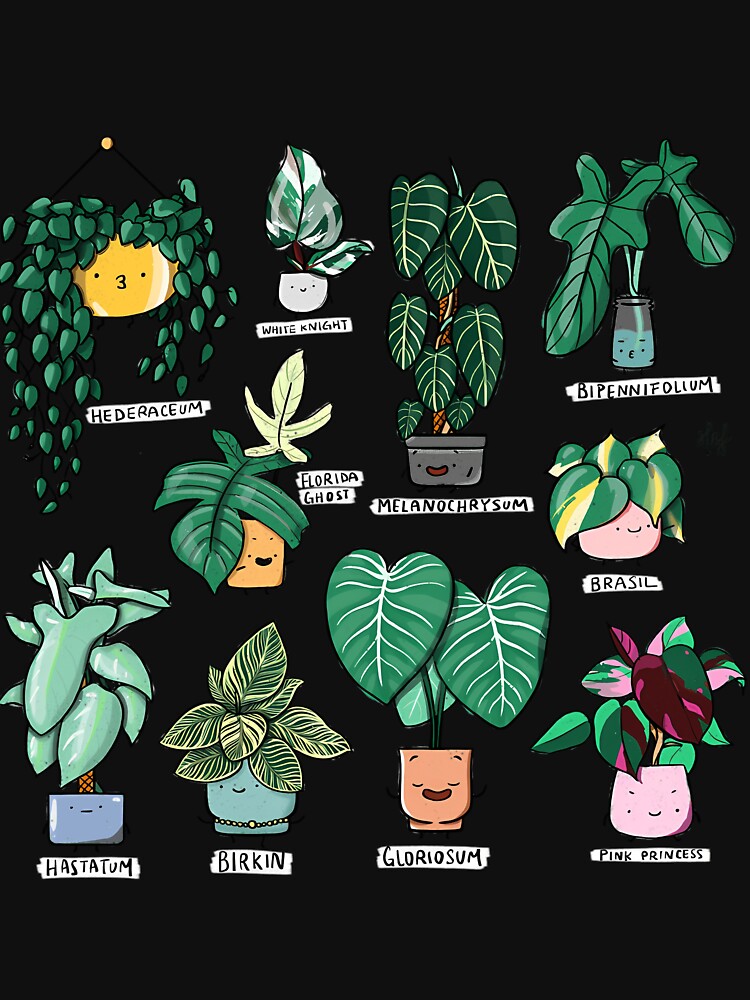 Philodendron Family Plants by lqycnvzxyg3