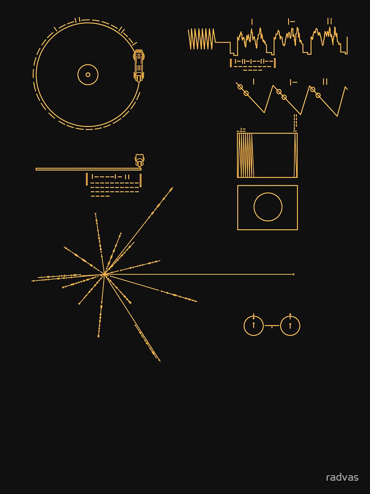 Voyager Golden Record by radvas