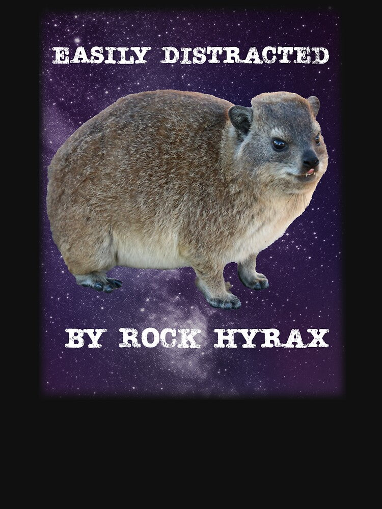 Rock Hyrax by mrhyrax