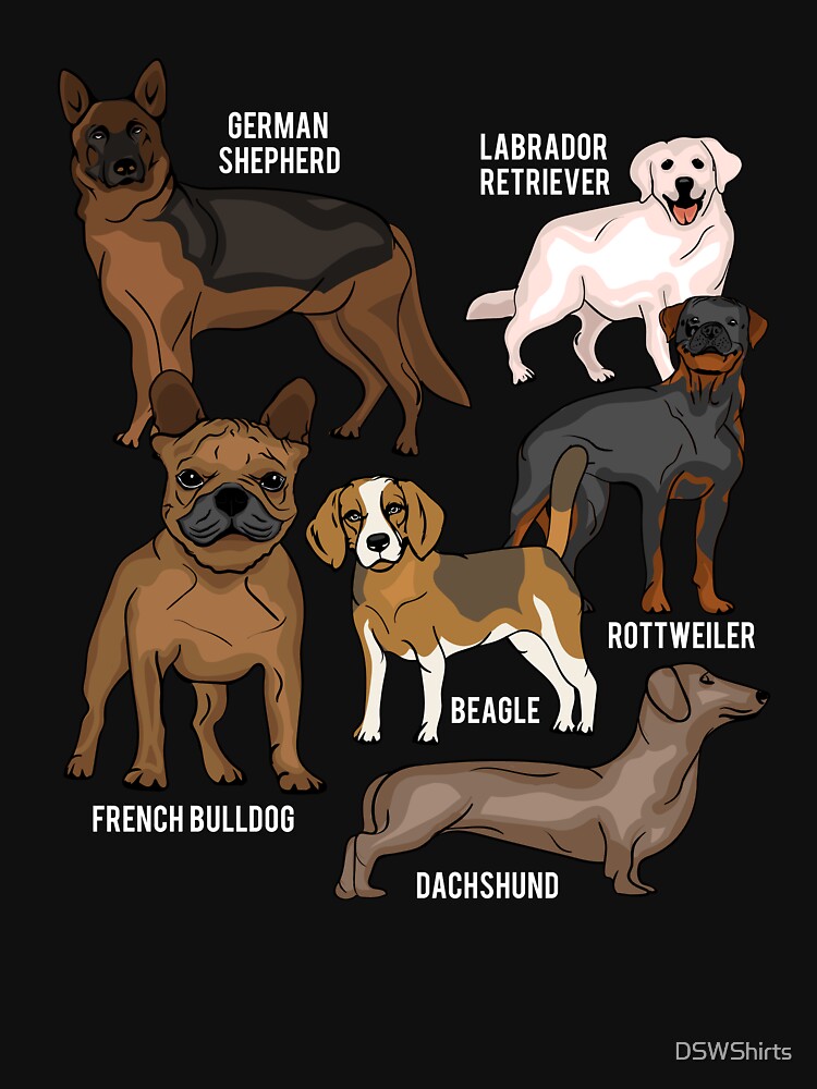 Dogs Species Dog Owner Gift Men Dog Lover by DSWShirts