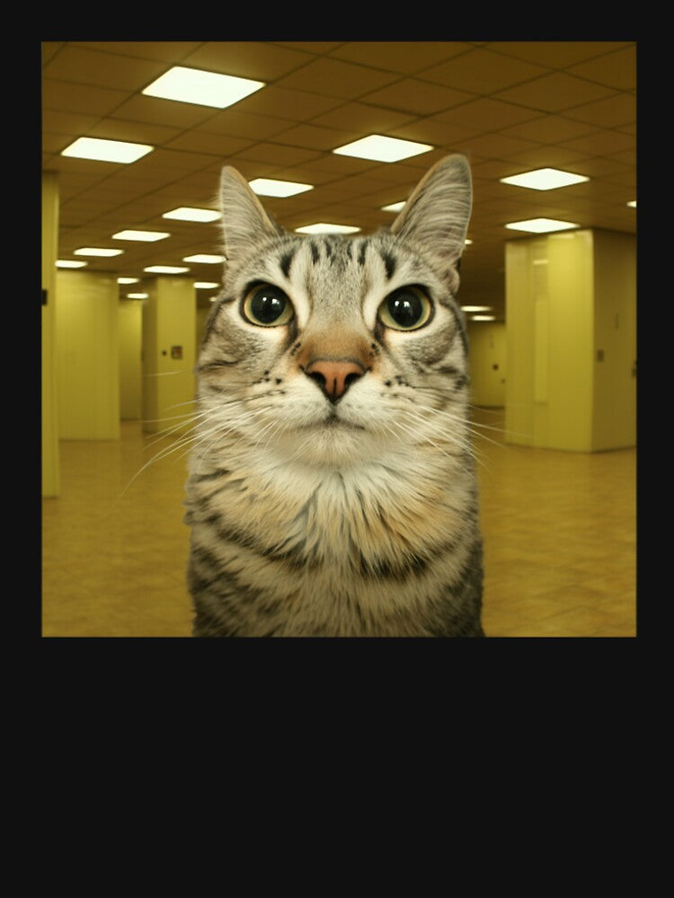 Cat in Backrooms Meme by studio-ssaam