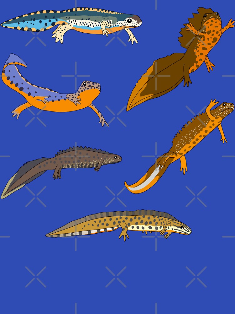 Newts by Leapingdoe
