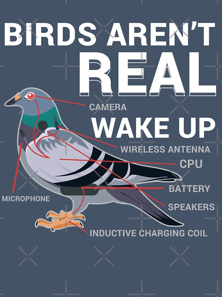 Conspiracy Pigeons Funny by ShirTomDesigns