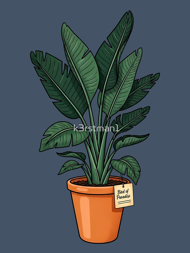 Bird of Paradise Tropical Potted Houseplant by k3rstman1