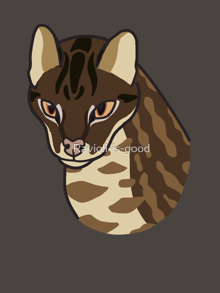 Iriomote cat by Ravioli-is-good
