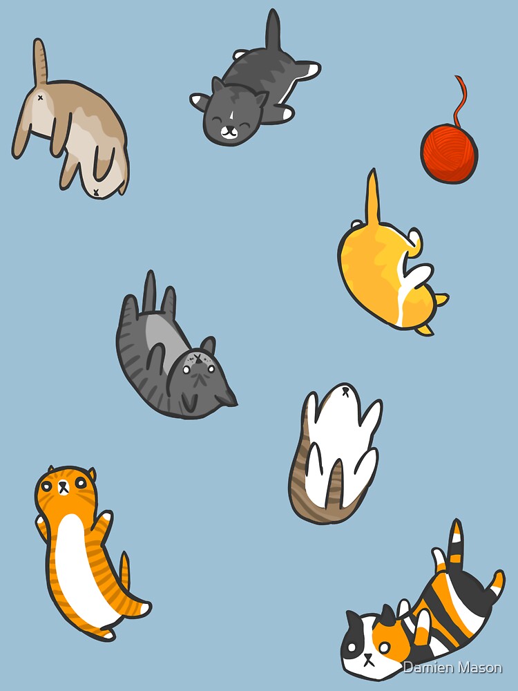 Kitten Rain by Damien Mason