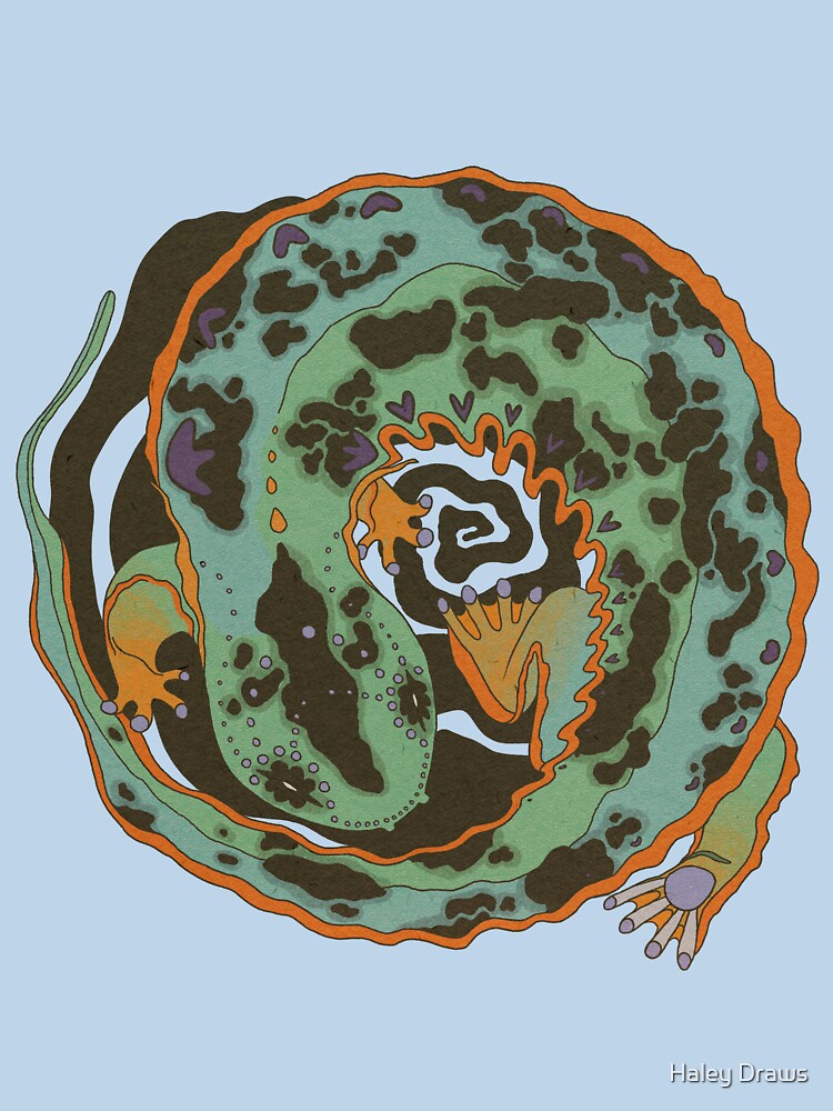 Eastern Hellbender by Haley Draws