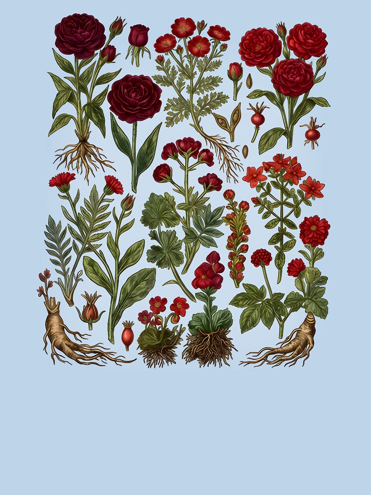 Vintage Rose Wildflower Botanical by calavonaOOP