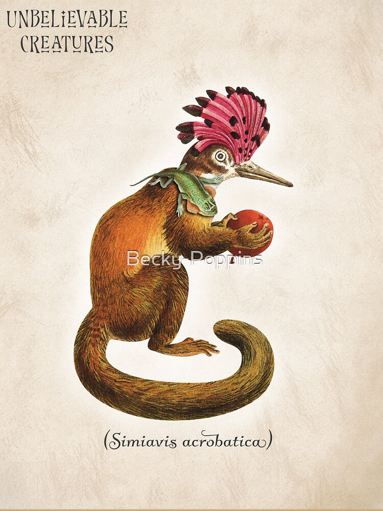 Siniavis Acrobatica | Surreal Monkey Bird Hybrid Collage Creature by Becky-Poppins