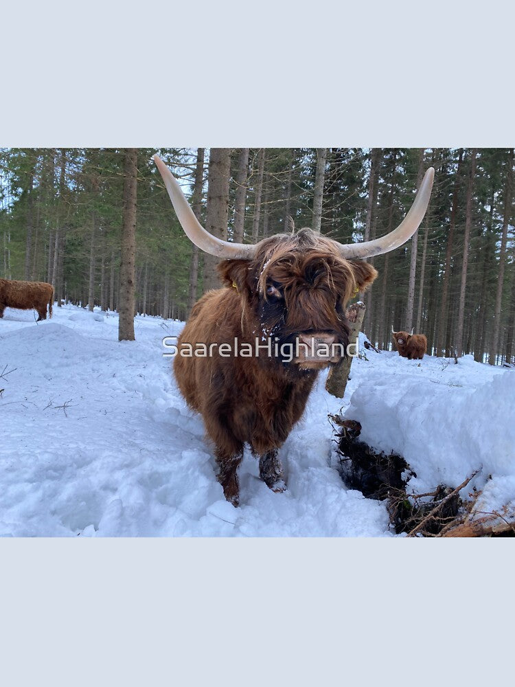 Scottish Highland Cattle Cow 3180 by SaarelaHighland