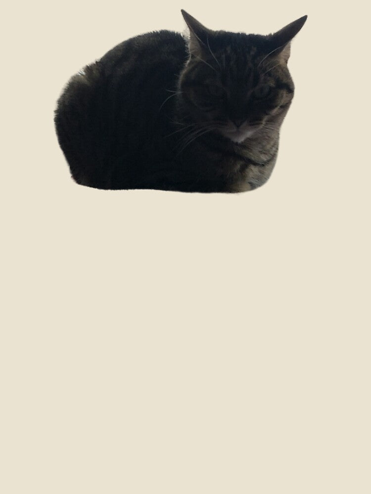 Grumpy Tabby by brittfewster