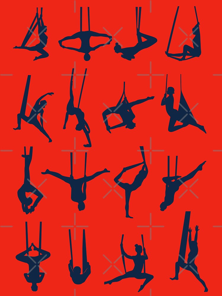 Aerial Yoga Poses by trendingatees