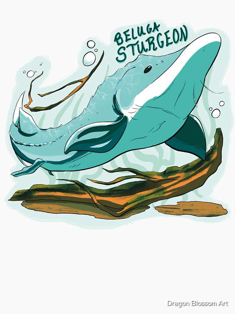 Beluga Sturgeon (Endangered Species) by Dragon Blossom Art