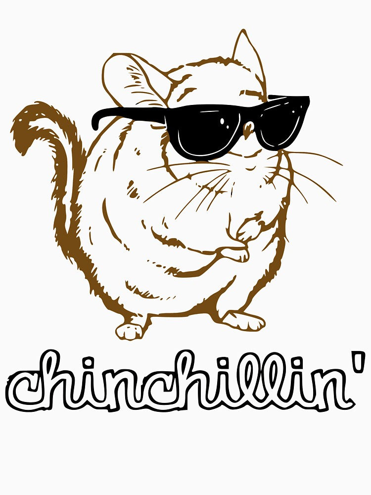 Chinchillin by StereotypicalTs