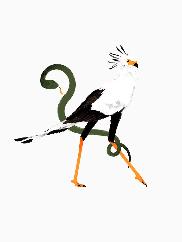 Secretary bird by GiuSquid