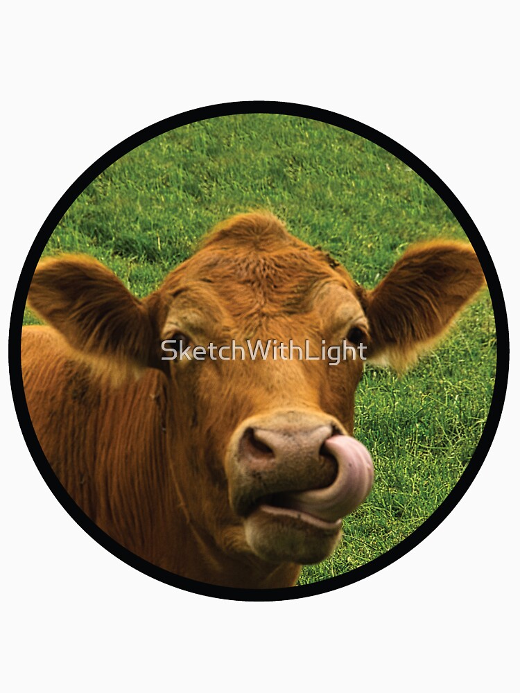 Cow with tongue out encircled by SketchWithLight
