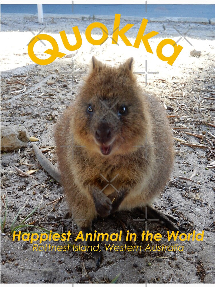 Quokka Happiest Animal in the World by Lunaqwa