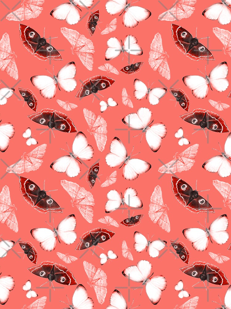 Whimsical Butterflies and Moths - Coral Colorway by Negin Mf Designs