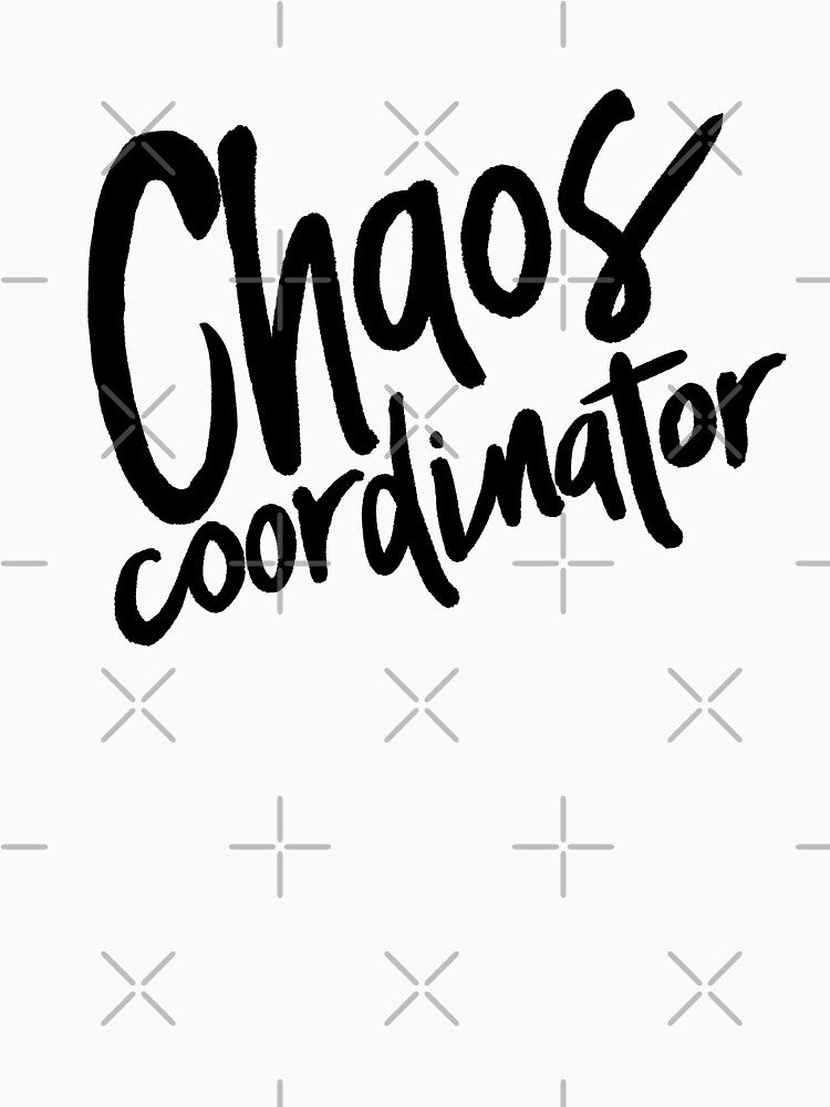 Chaos Coordinator by House Sparrow
